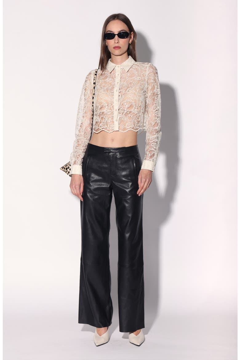 Nicollette Embroidered Lace Crop Button-Up Shirt, Alternate, color, VANILLA