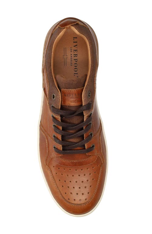 Liverpool La Launch Sneaker In Cognac