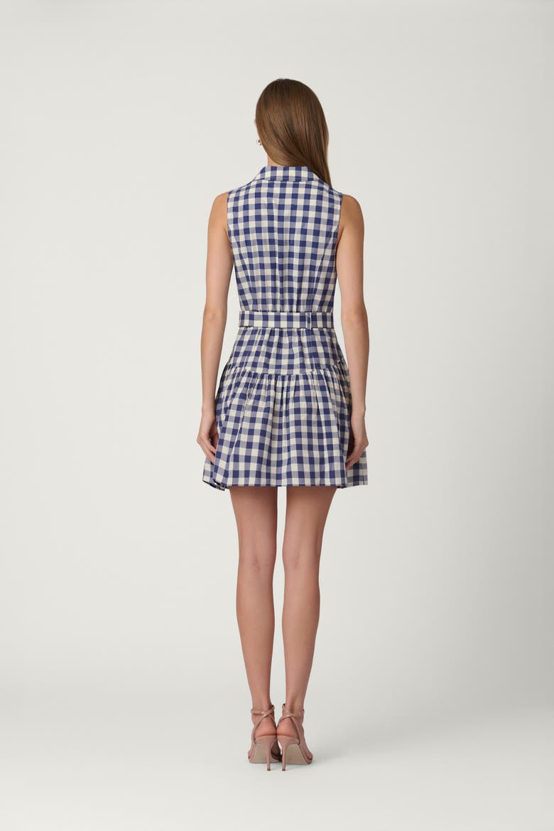 Gingham Natalia Dress, Alternate, color, Navy/Optic