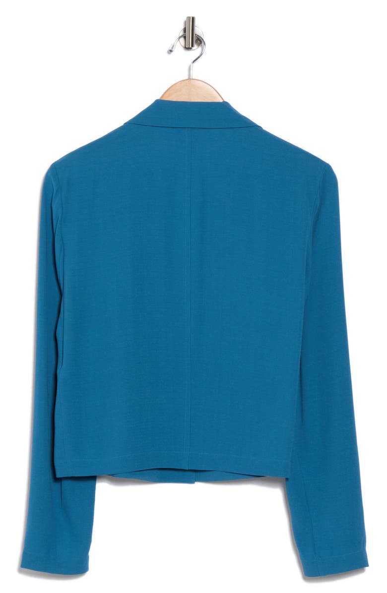 Eileen Fisher Notch Lapel Silk Blazer, Alternate, color, 