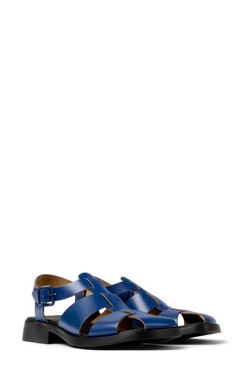 Camper Dana Buckled Leather Sandals In Blue