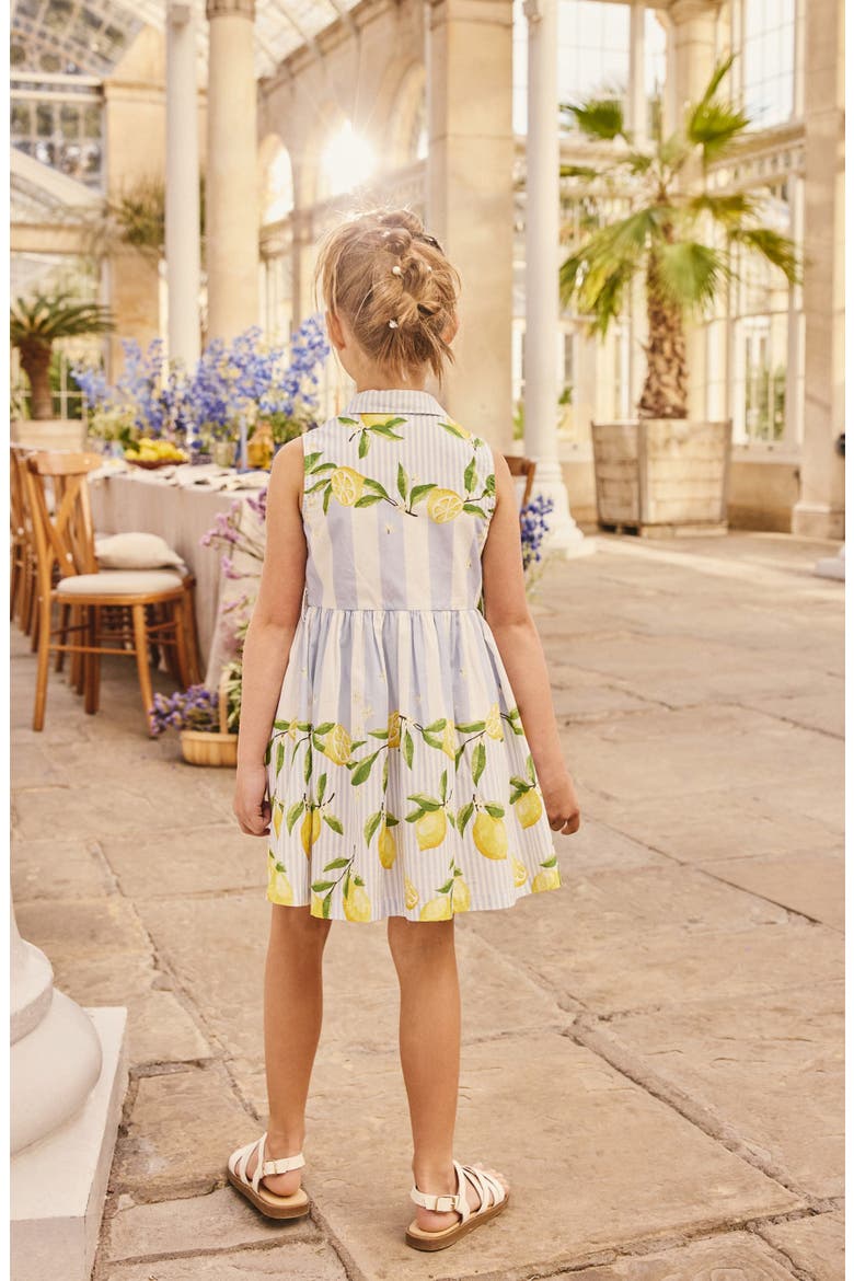 Stripe Lemon Print Cotton Shirtdress, Alternate, color, BLUE