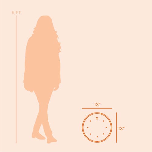 Bloem Ups A Daisy Round Planter Lift Insert 13 Inch Orange In Orange