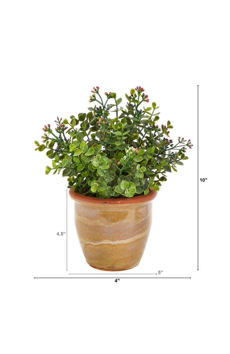 NEARLY NATURAL 10-in Eucalyptus and Sedum Succulent Artificial Plant in Ceramic Planter, Alternate, color, Green