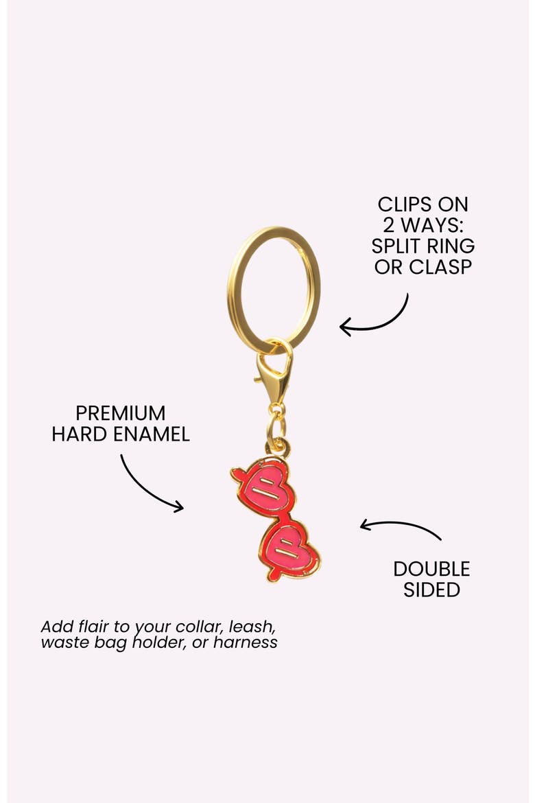 Sunglasses Pet Collar Charm, Alternate, color, Sunglasses