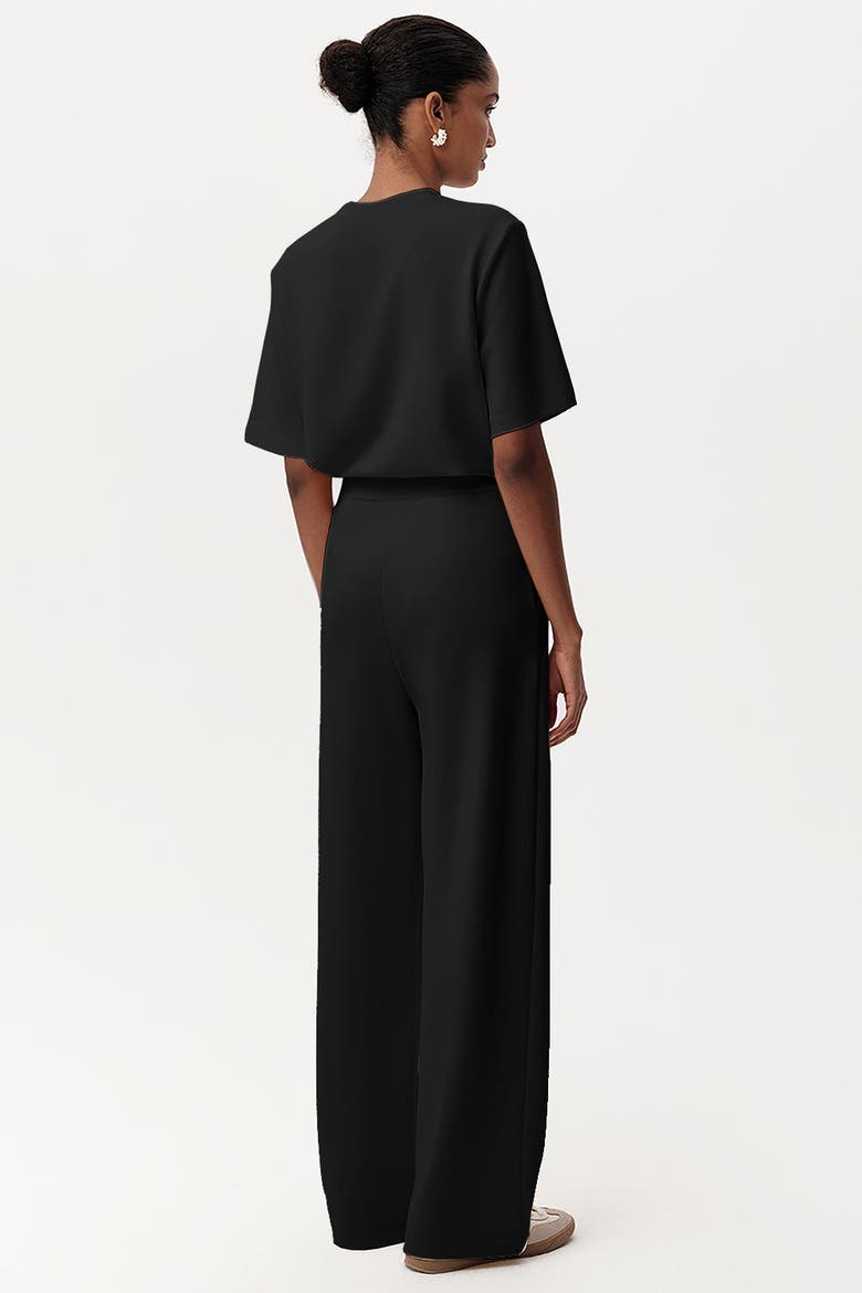 Shayna K Pants Wide Leg Knit Trousers, Alternate, color, Black