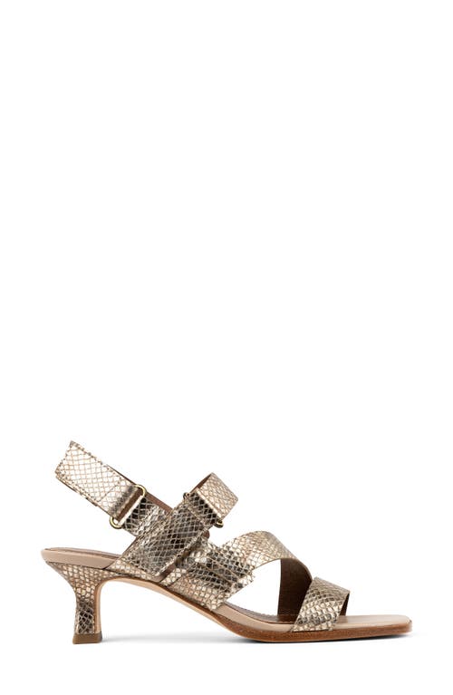 Donald Pliner Fisherman Kitten Heel Sandal In Platino Embossed