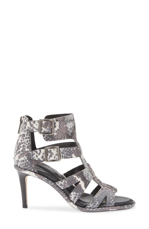 Vince Camuto Frenton Buckle Sandal In Animal Print