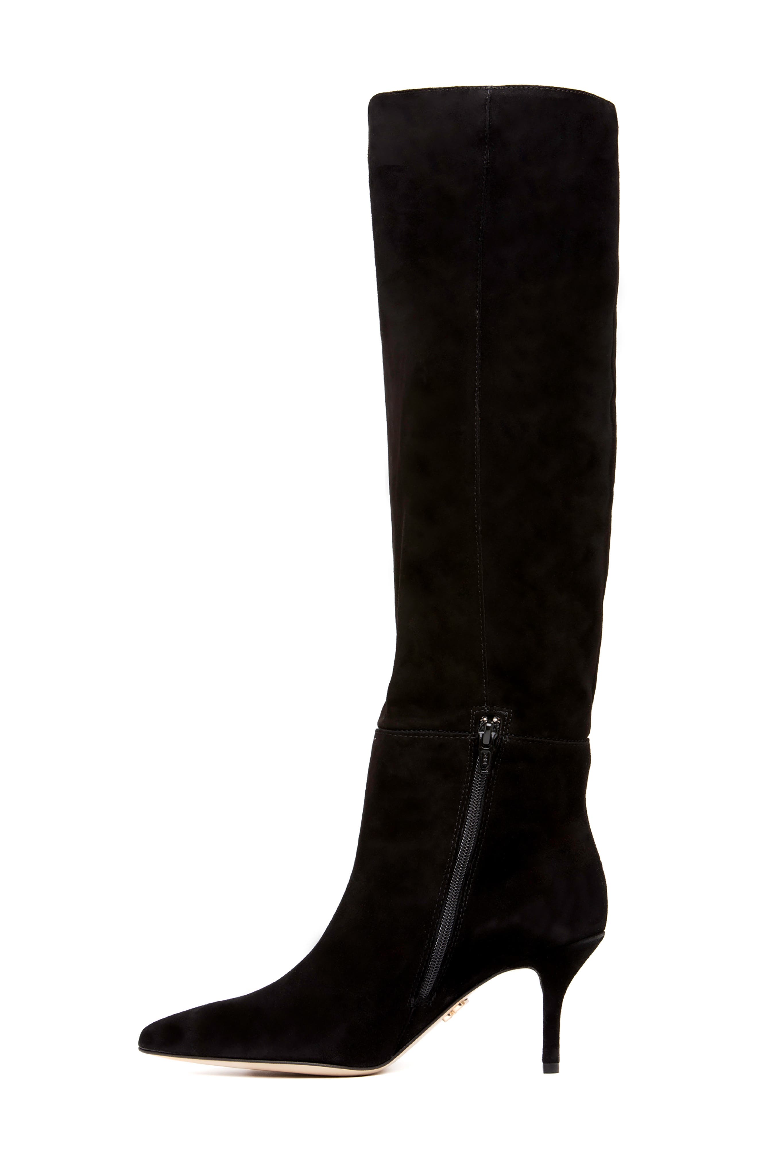 BEAUTIISOLES Wendy Pointed Toe Knee High Boot, Alternate, color, 