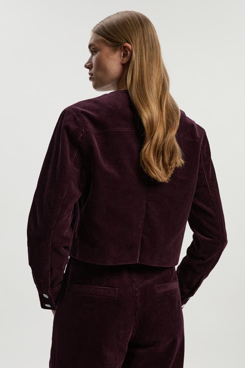 Karen Millen Cord Collarless Tailored Jacket In Purple