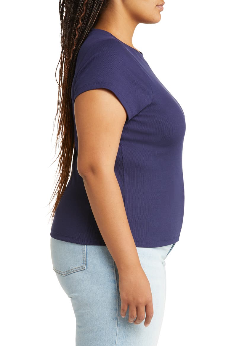 Supima® Cotton Rib T-Shirt, Alternate, color, FRESH BLUEBERRY