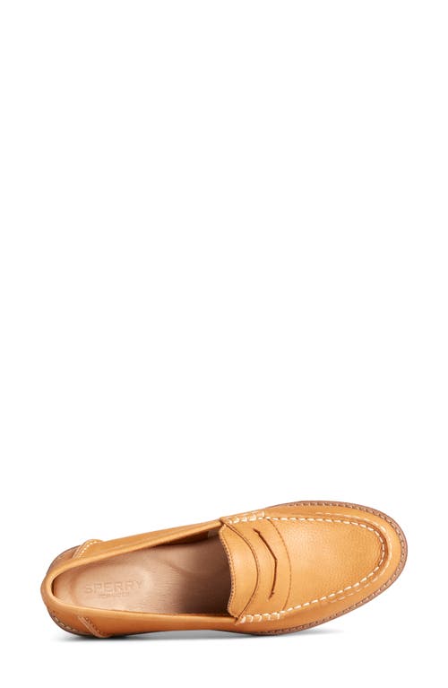 Sperry Seaport Penny Loafer In Brown