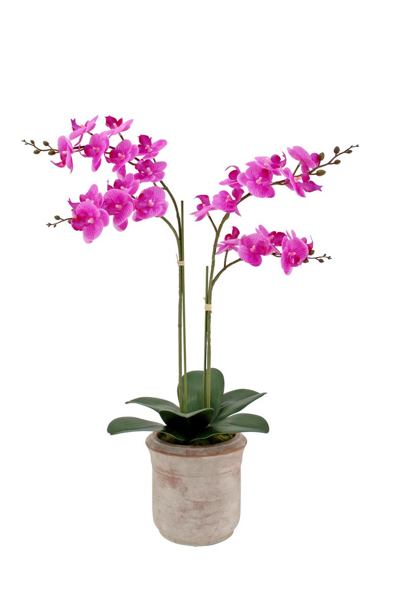 Artificial 2-Stem Phalaenopsis Pink Orchid, Main, color, White