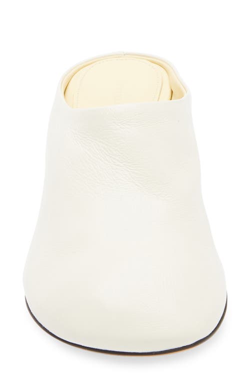 Proenza Schouler Glove Lambskin Block-heel Mules In Ivory