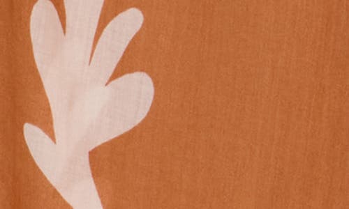 Dr2 By Daniel Rainn Long Sleeve Cotton Top In Brown