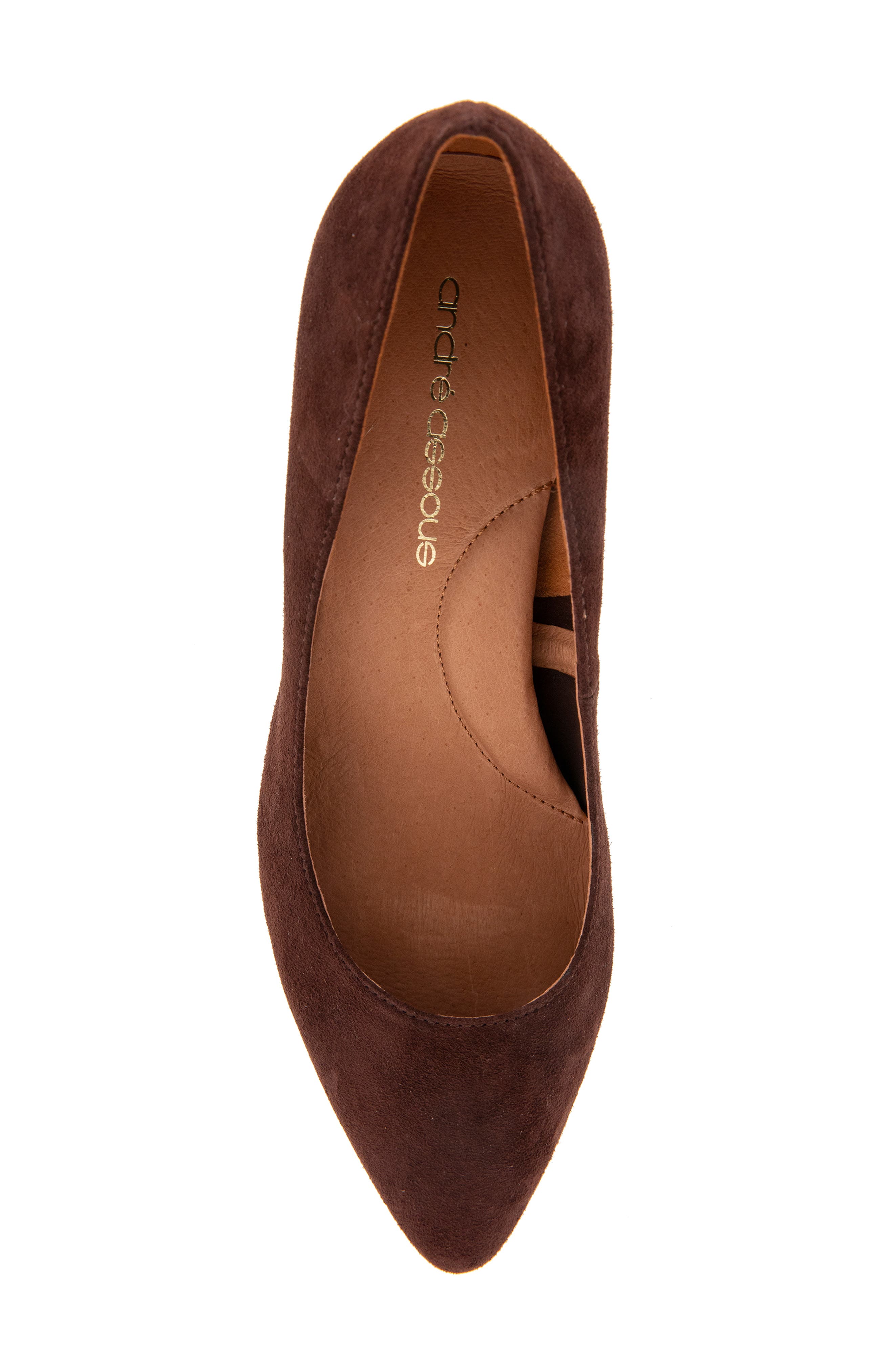 André Assous Wynne Pointed Toe Pump, Alternate, color, Cocoa Powder
