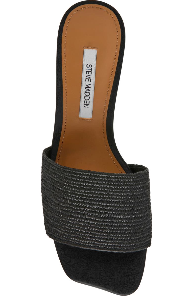 Steve Madden Frolic Slide Sandal, Alternate, color, Black Raffia