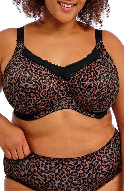 Goddess Kayla Full Cup Full Figure Underwire Bra in Dark Leopard at Nordstrom, Size 34H