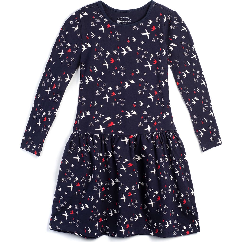 Mightly Organic Cotton Long Sleeve Drop Waist Tier Dress In Migrating Birds
