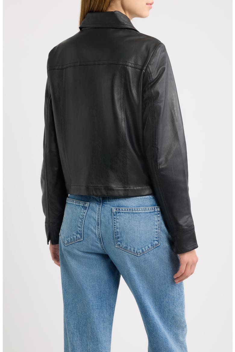 Lefei Leather Jacket, Alternate, color, BLACK/ BLACK