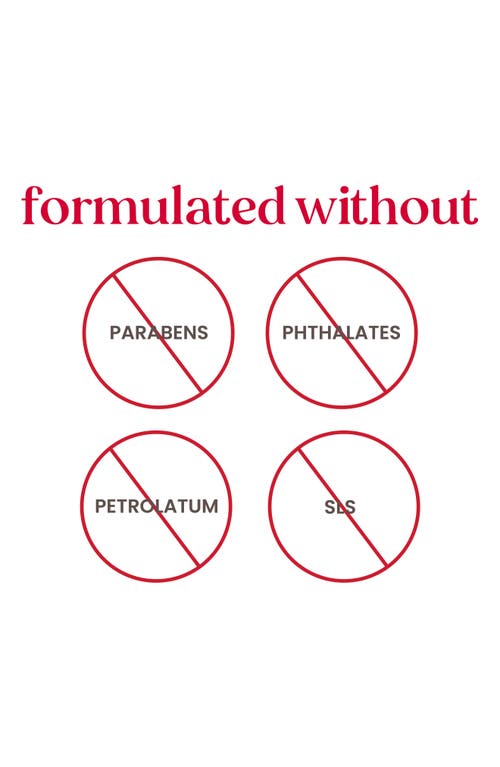 Burt's Bees Kissable Color Frosty Collection Lip Shimmer Gift Set In White