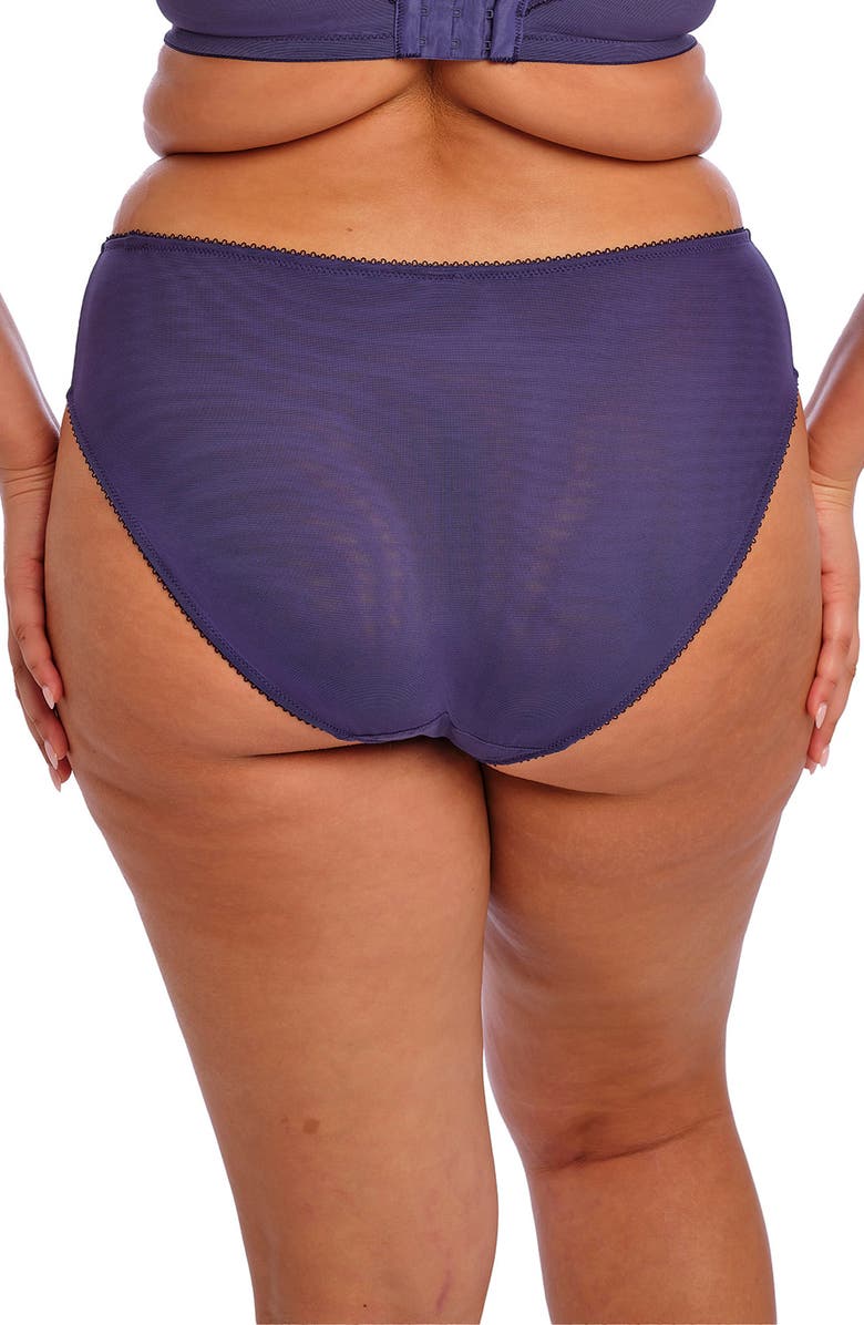 Elomi Himari Embroidered High Cut Briefs, Alternate, color,