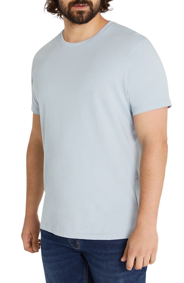 Johnny Bigg Essential Crewneck T-Shirt, Alternate, color, 