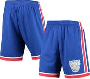 Mitchell & Ness Men's Mitchell & Ness Blue New Jersey Nets 1993 Hardwood Classics 75th Anniversary Swingman Shorts