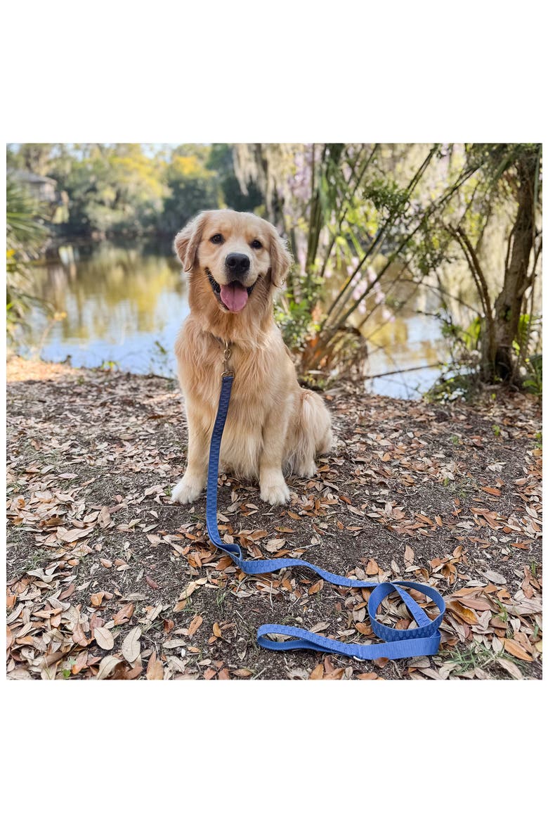 Checkered Wave Pet Leash, Alternate, color, WAVY BLUE
