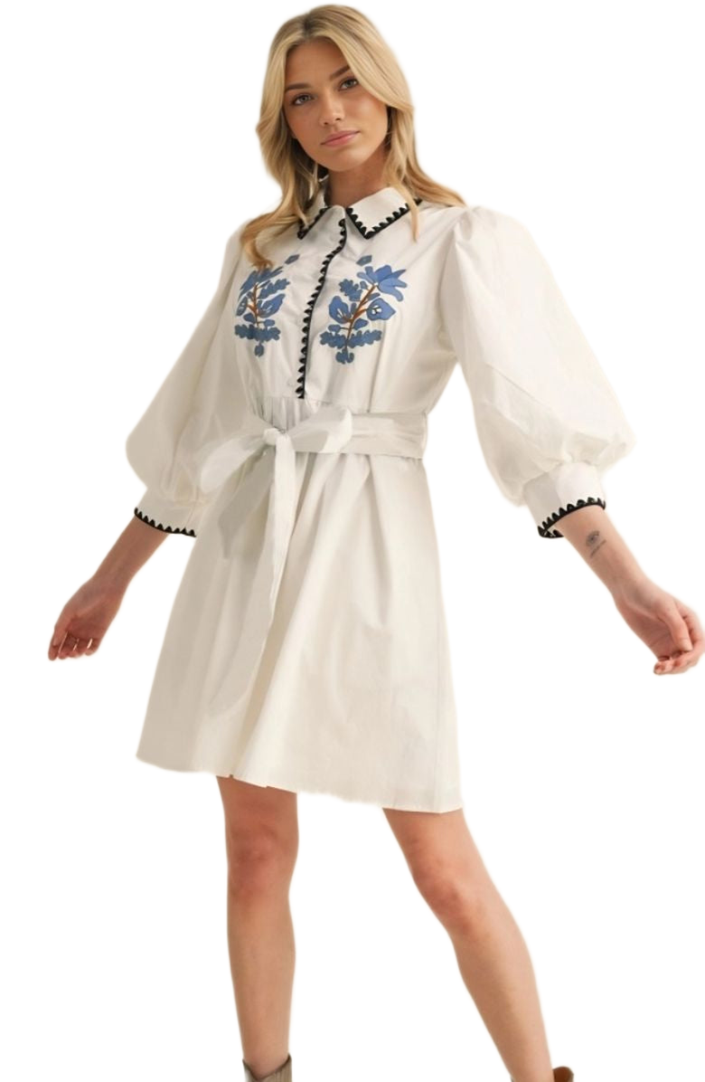 Knit and Lounge Embroidered Belted Tunic Dress, Alternate, color, White / Black Trim