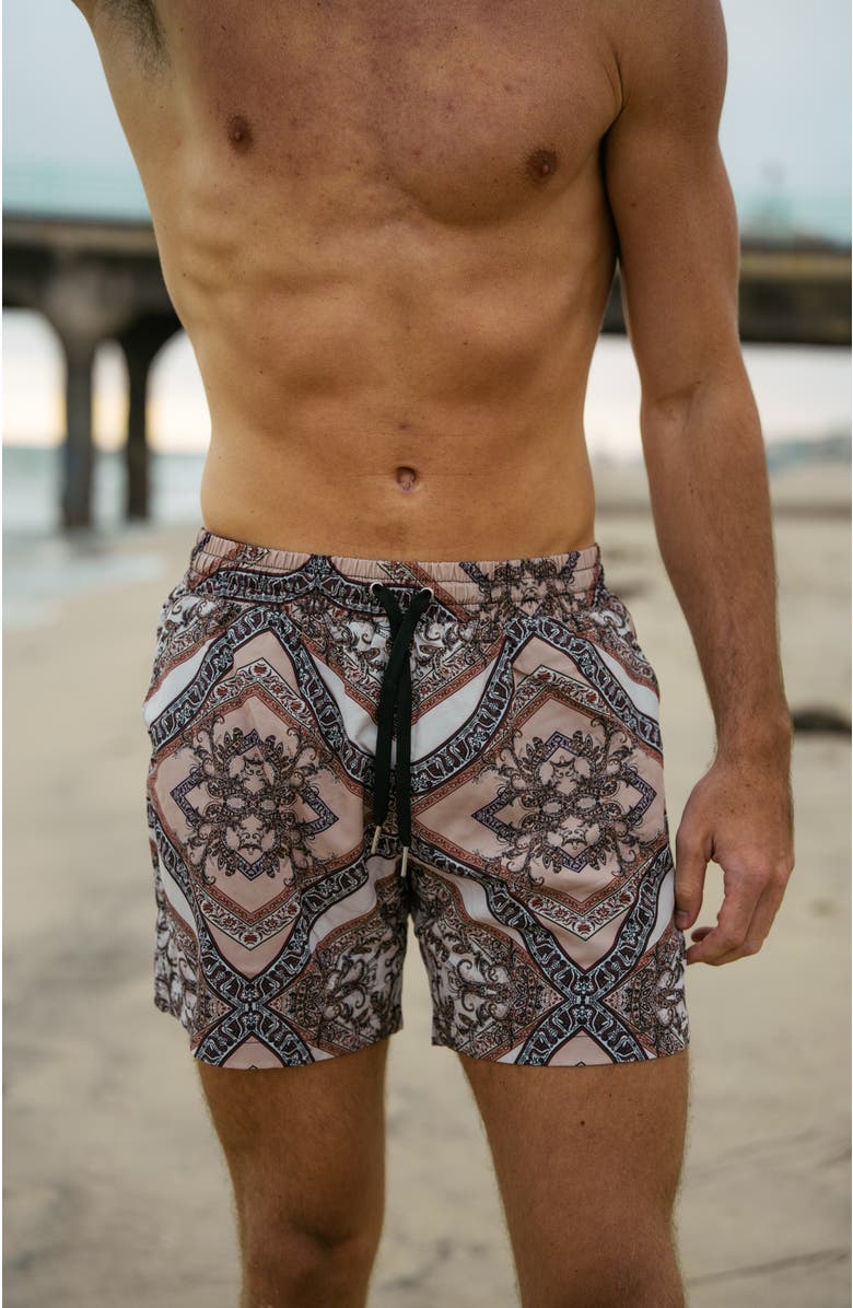 Ivy Swimwear Bruno Shorts, Alternate, color, Brown Mosaic