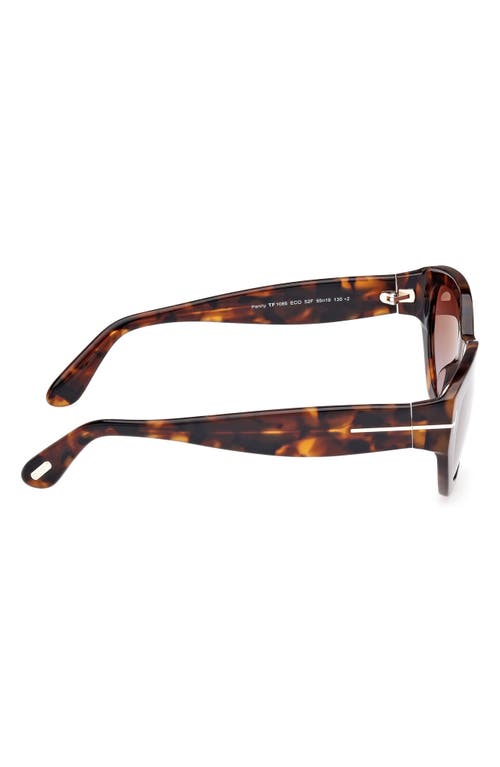 Tom Ford Sunglasses In Brown
