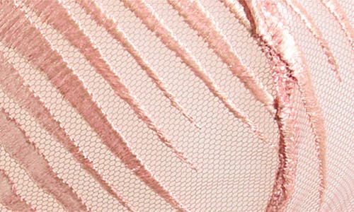 Hunkemoller Hunkemöller Alice Up Embroidered Underwire Plunge Bra In Rosette