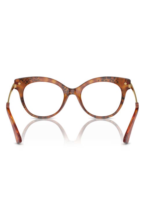 Dolce & Gabbana Eyewear In Havana