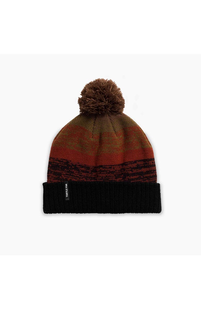 Turtle Fur Fade Cuffed Pom Winter Hat, Main, color, Black
