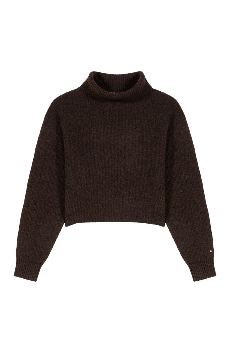 maje Yak blend roll-neck sweater, Alternate, color, Dark Brown