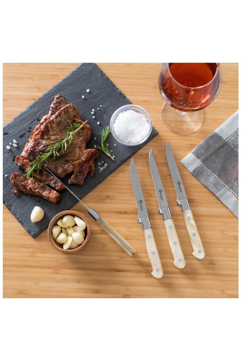 Prince Gastronome 4-Piece Steak Knife Set, Alternate, color, CHAMPAGNE