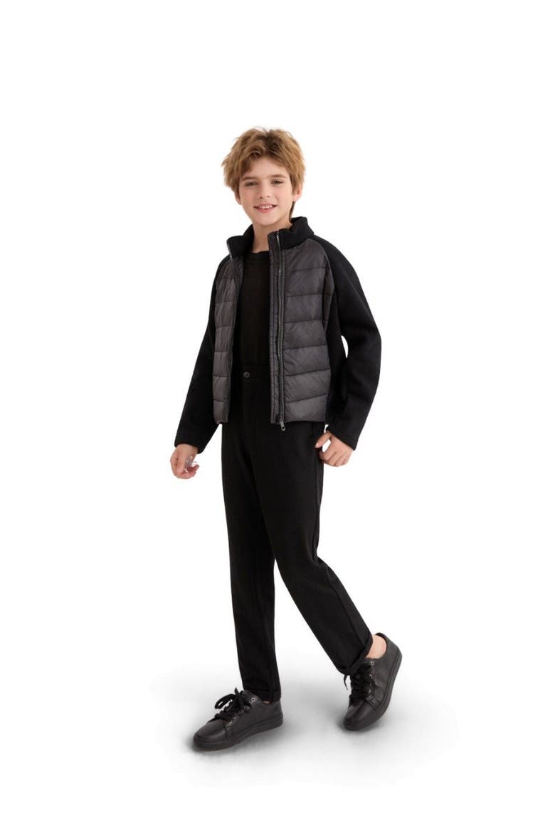 Quilted Zip Jacket, Alternate, color, Black