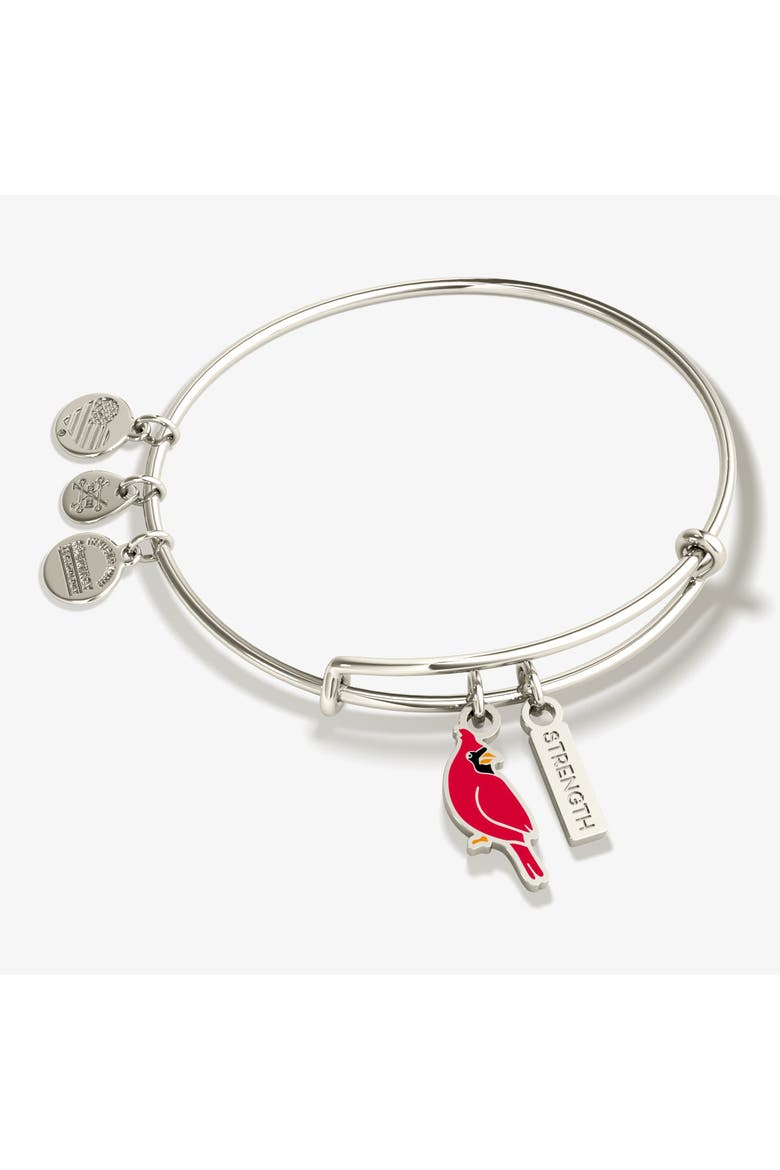 'Strength' Cardinal Duo Charm Bangle Bracelet, Main, color, Silver