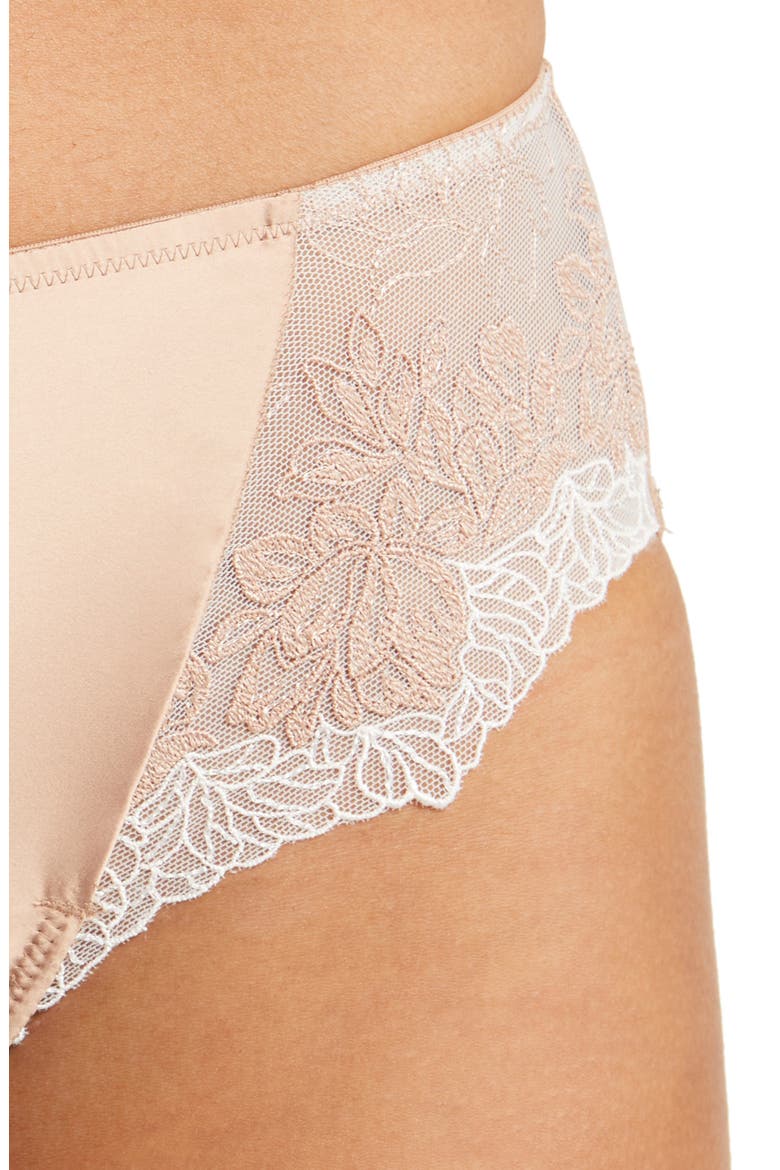 Side Note High Leg Panties, Alternate, color, ROEBUCK