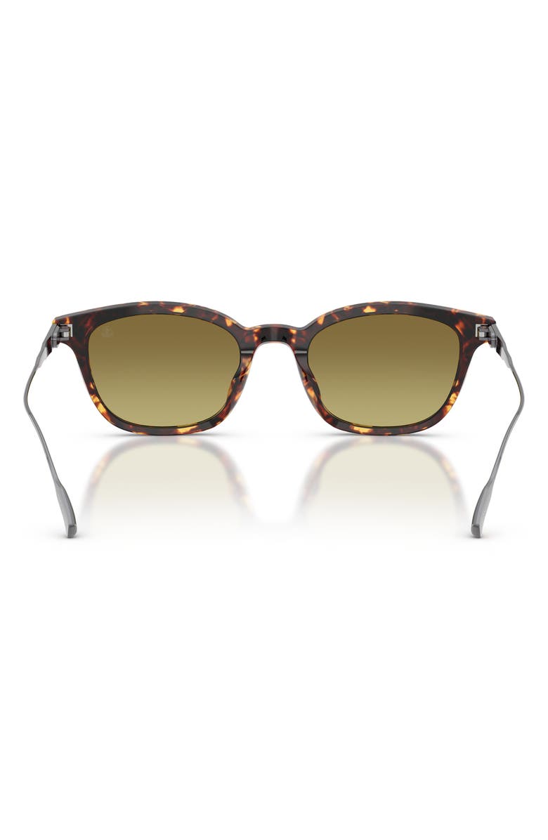 Moncler Lentis 50mm Gradient Phantos Sunglasses, Alternate, color, Tortoise Dark Brown / Green