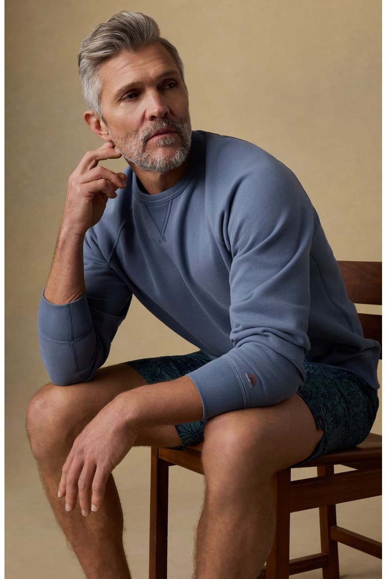 High Standard Organic Pima Cotton Blend Sweatshirt, Alternate, color, FLINT