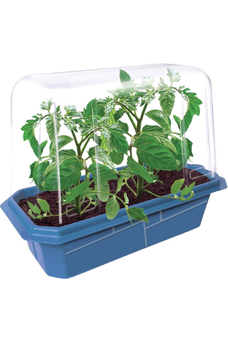 Tomato Growing Kit - Indoor Garden Starter Set with Seeds, Soil, Planter - Grow Fresh Tomatoes, Alternate, color, None