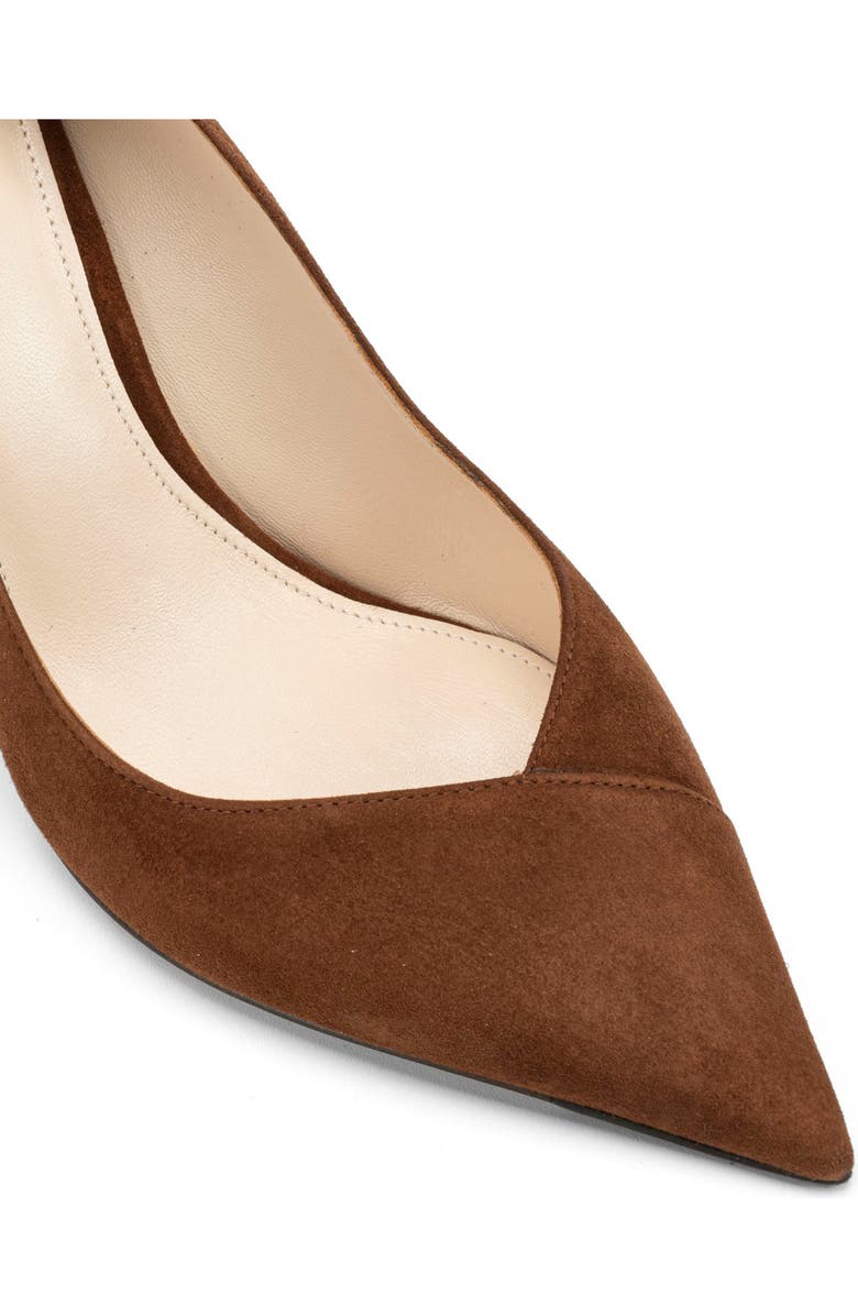 Alexandre Birman Pamela Pointed Toe Pump, Alternate, color,