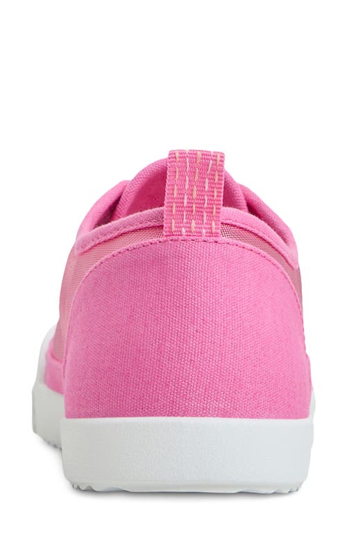 Roxy Shorebreak Sneaker In Medium Pink