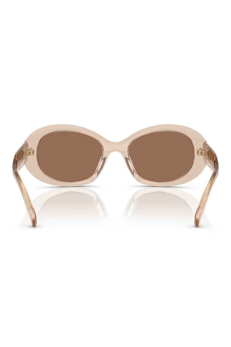 53mm Oval Sunglasses, Alternate, color, DARK BROWN