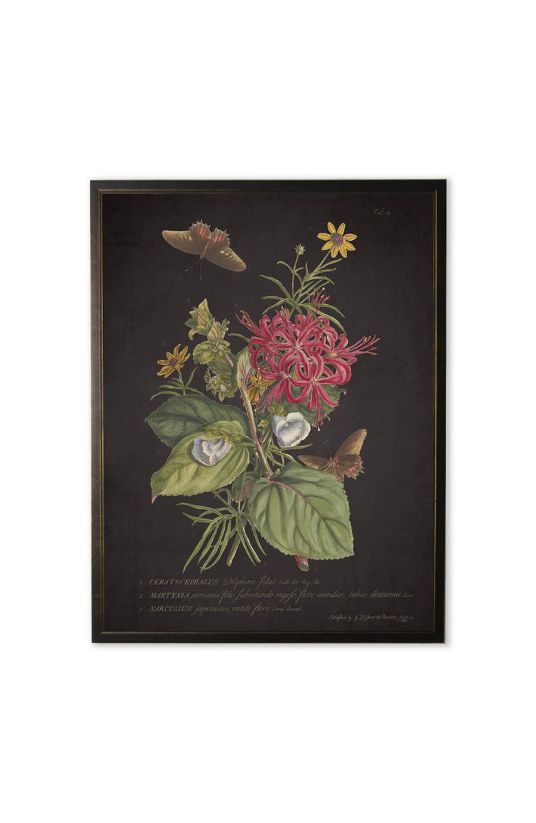 Antique Curiosities Red and Yellow Flowers with Butterflies in Copper and Black Frame, Main, color, Multi