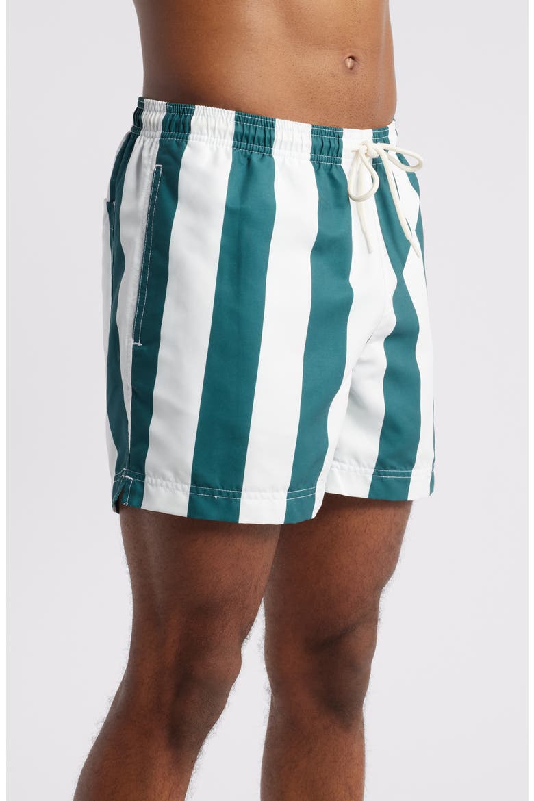Playa Stripe Swim Trunks, Alternate, color, GREEN/ WHITE