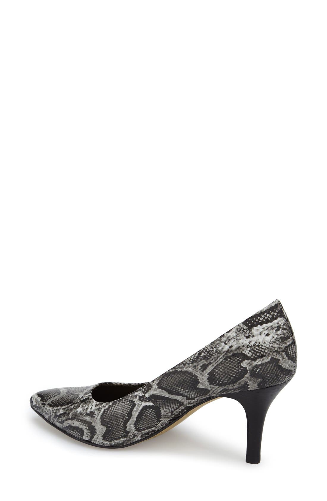 Bella Vita 'Define' Pointy Toe Pump, Alternate, color, 