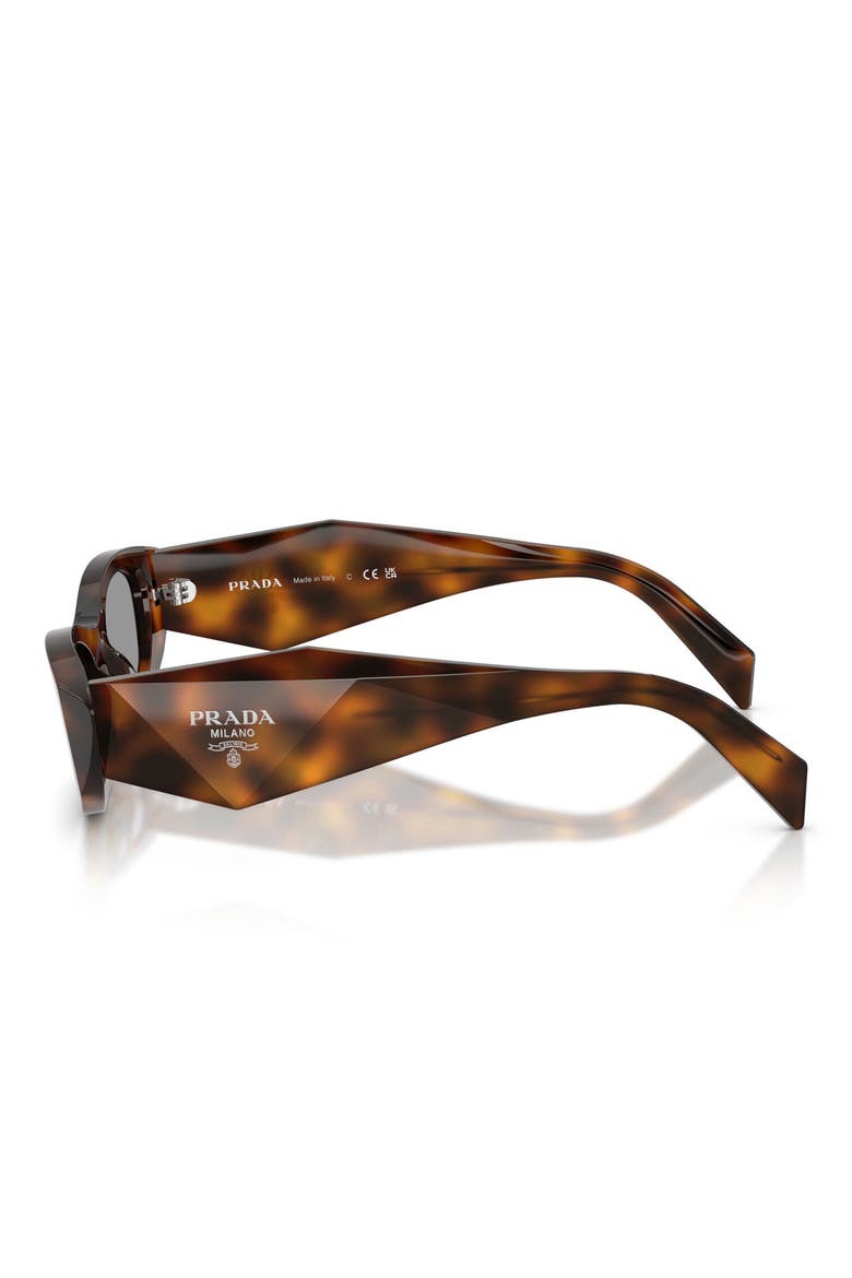 52mm Oval Sunglasses, Alternate, color, JUNIPER TORTOISE / GREY